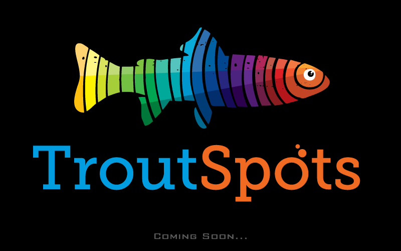 Trout Spots - Unique Artwork for Your Walls